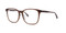 C2 Brown