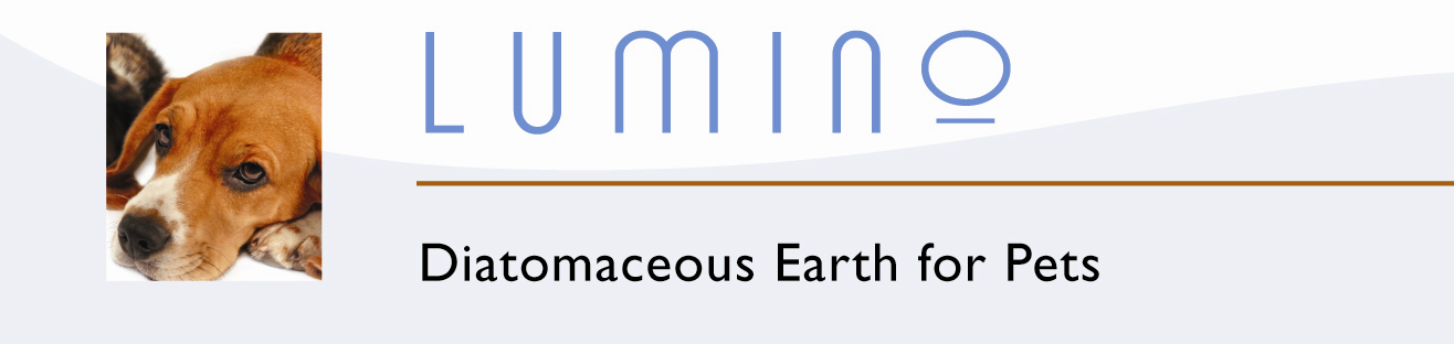 lumino-diatomaceous-earth-logo.png
