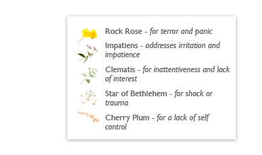 rescue remedy pet ingredients