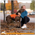 Kurgo Reflect & Protect Active Dog Vest