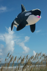 Killer Whale - Inflatable