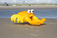 Bouncing Buddy "Billy The Crab"  - Orange