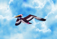 Pelican 3D 