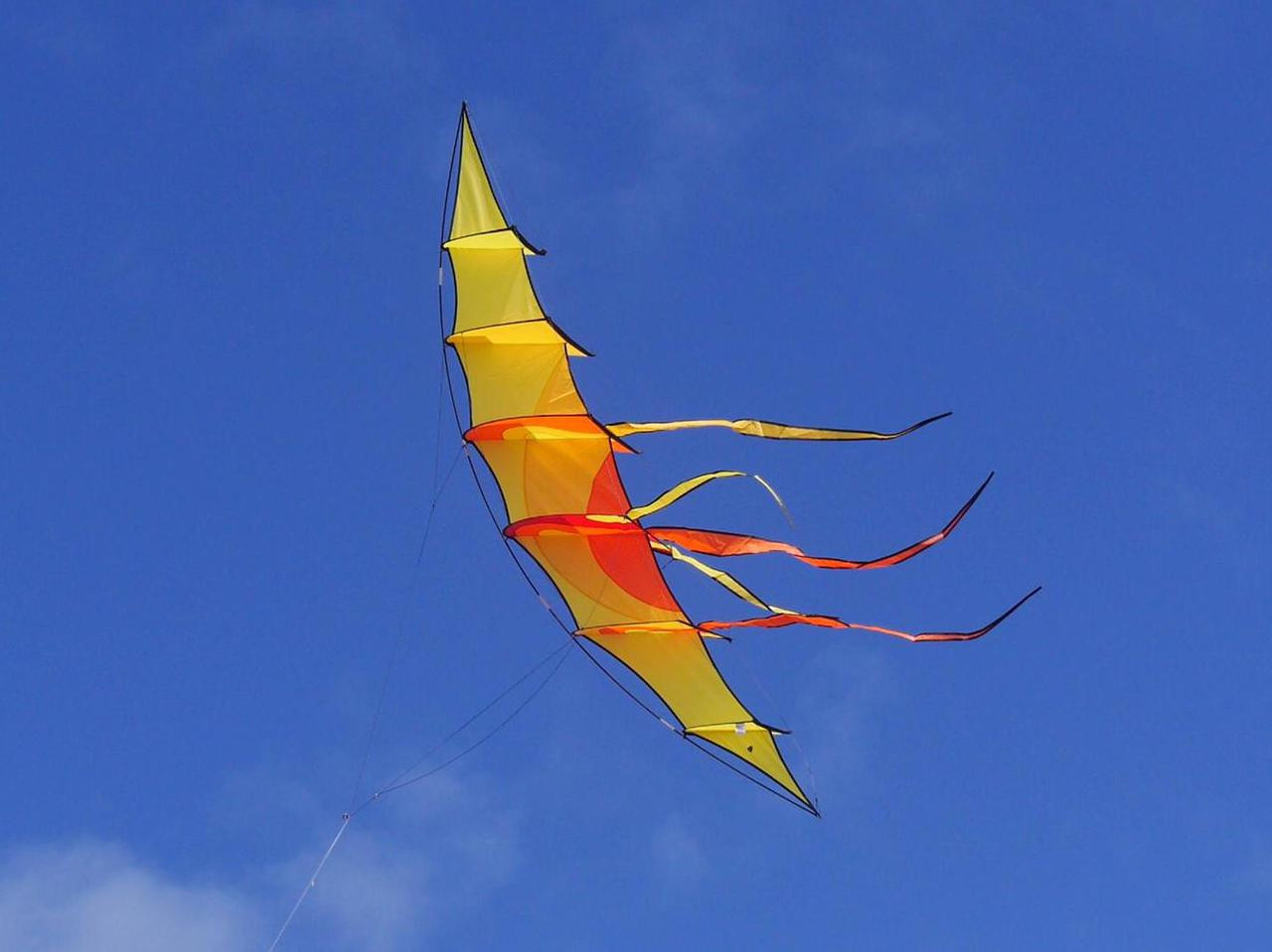  Tigress Kite Kit with Clips, 2 Wind-on Swivels, and 1