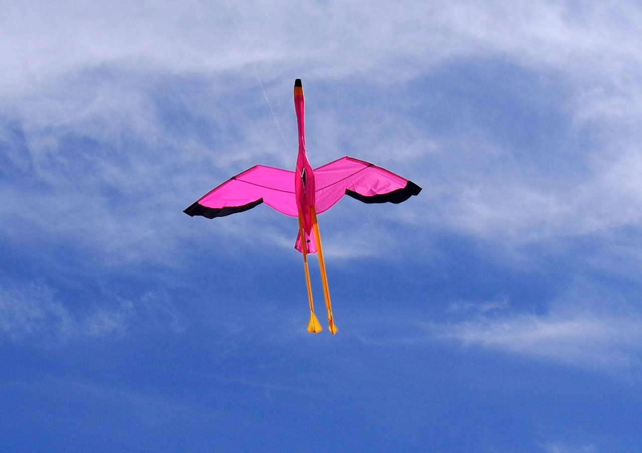 Fit Flight】fif0883 Kite Pink (Pack of 3)