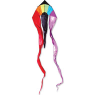  Flo Tail 13' Delta Kite - Rainbow Arc