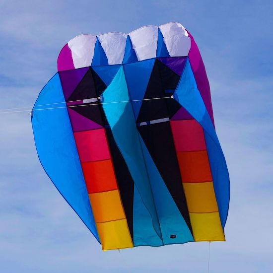 Gebeurt Aap actie UltraFoil 9 | Picture Pretty Kites