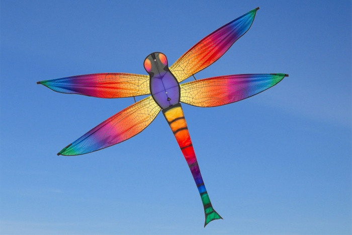 dragonfly kite