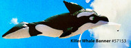 6' Killer Whale - Banner