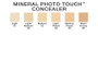 Mineral photo touch concealer stick
