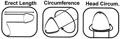 drjoelkaplan-cylinder-measurements.gif drjoelkaplan-cylinder-measurements.gif
