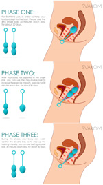 nova kegel ball exercise phases