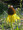 Bush's Coneflower - Echinacea paradoxa