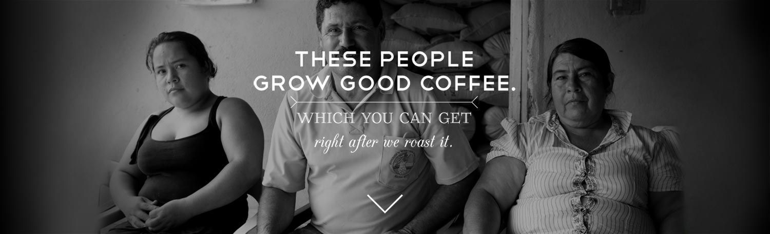 Single origin direct trade coffee