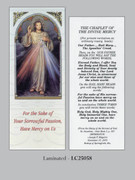 Bookmark: Chaplet Divine Mercy 