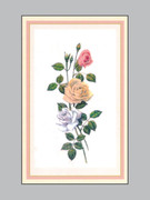 Memorial Cards: Flowers