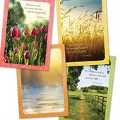 Boxed Cards(12) Sympathy Serenity (CB51726)
