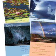 Boxed Cards (12): Praying for You (Max Lucado)(CB37287)