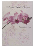 Cards (6): Quality Get Well Orchids (CD20205)