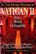 Book: In the Murky Waters of the Vatican II (MURKY W)
