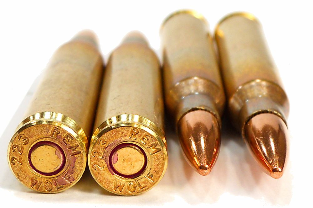 wolf gold 1000 rounds fmj 223 5 56 55 grain brass for sale
