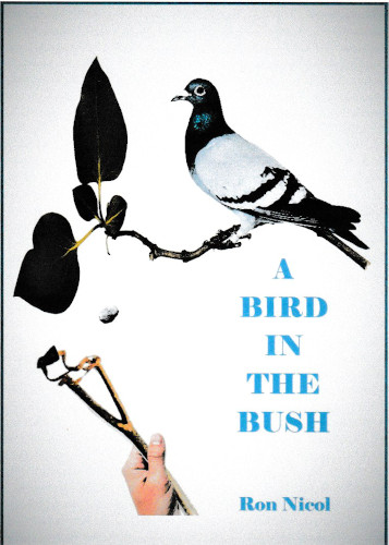 Comedy Play Script: 'A Bird In The Bush' by Ron Nicol