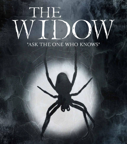 Thriller Play Script: 'The Widow' by Merlin Ward