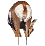 Montana Decoy Antelope Doe