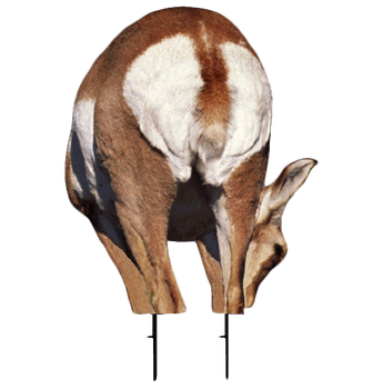 Montana Decoy Antelope Doe