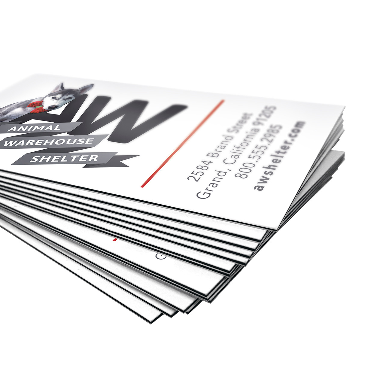 Thick 16pt Business Cards (4-6 days) - Clash Graphics