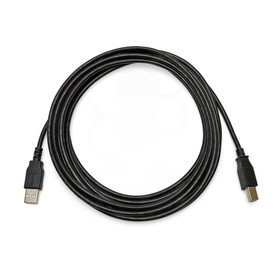 10 Foot Male A-B USB 2.0 Cable