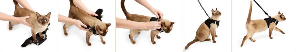 Cat Harness Leash