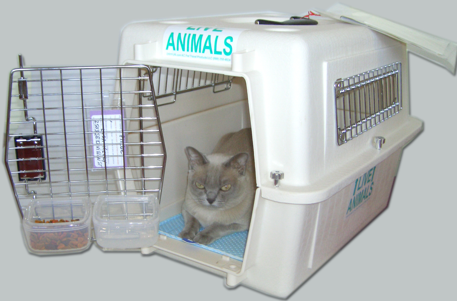 kennel-hook-on-dishes.jpg