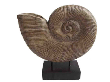 Accessories Abroad Large Nautilus Shell on Stand
