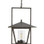 Primary Material
Steel
Top Coat/Sealant
Yes
Environment Suitability
Indoor Suitable Only
Overall
W: 19 in x D: 19 in x H: 31 in
Maximum Hanging Height
67 in
Minimum Hanging Height
31 in
Pipe or Chain included
3'
Weight
31.0 lb
