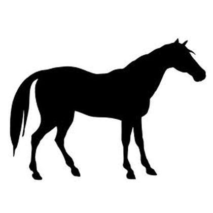 home-horse.png home-horse.png
