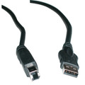 USB Cable 6' -  A-Male to B-Male