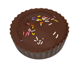 Dark Chocolate truffle Gourmet Brownie
