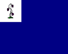 Connecticut Privateer flag