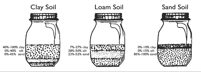 soil-type.jpg