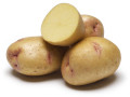 Organic Potato - Yukon Gem