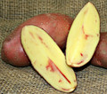 Organic Potato - French Fingerling