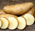 Organic Potato - Russian Banana