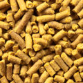 Pescadero Gold Mustard Meal  Fertilizer - Pelleted