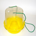 McPhail Trap for Olive Fruit Fly