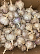 Créme de la Rasa Garlic