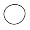 Spin Clean Filter O-Ring (fits 1" and 3/4")