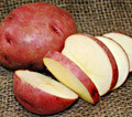 Organic Potato - Dark Red Norland