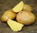 Organic Potato - German Butterball
