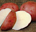 Organic Potato - Cherry Red